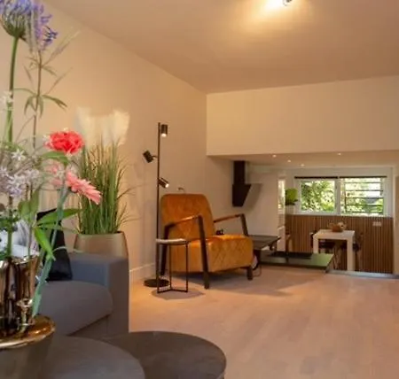 Apartment High Five